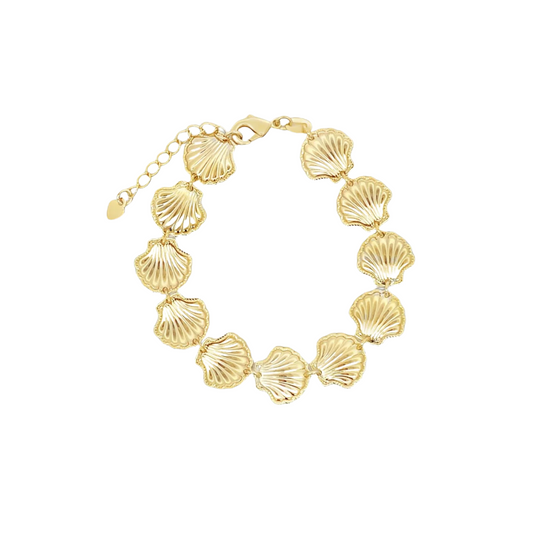 Shell Bracelet